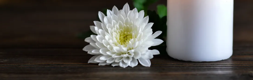 葬儀司会の養成スクールならセレフィール